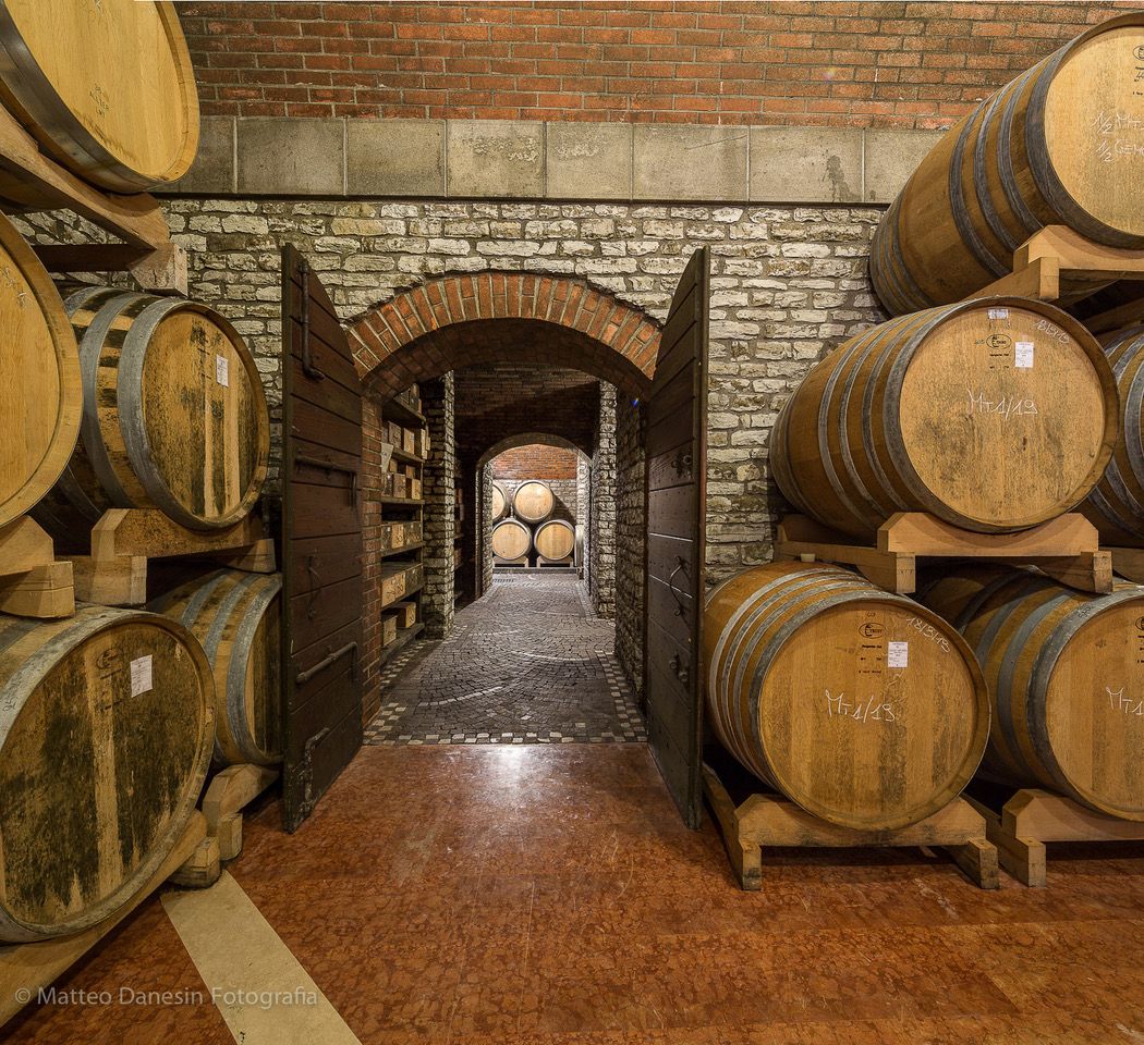 Visita in cantina con vendemmia partecipata